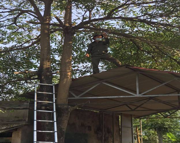 Có thể là hình ảnh về ngoài trời và cây