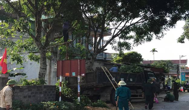 Có thể là hình ảnh về ngoài trời và cây