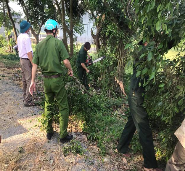 Có thể là hình ảnh về một hoặc nhiều người, mọi người đang đứng, ngoài trời và cây