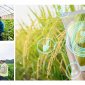 LỢI ÍCH CỦA CHUYỂN ĐỔI SỐ TRONG NÔNG NGHIỆP